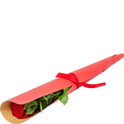 Gift Wrapped Single Red Rose